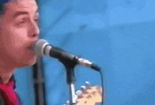 Mike Dirnt Green Day GIF