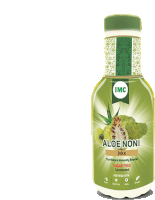 Aloe Noni Sticker - Aloe Noni Stickers