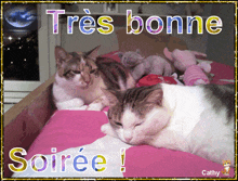 two cats are laying on a bed with the words " tres bonne soiree " above them