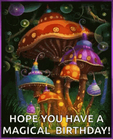 a painting of mushrooms with the words `` hope you have a magical birthday ! ''