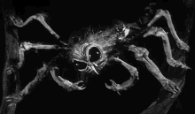 Bugs Spider GIF - Bugs Spider Horror GIFs