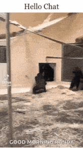 a monkey is walking through a doorway in a zoo .