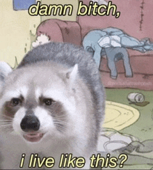 a raccoon with the words `` damn bitch , i live like this '' written on it