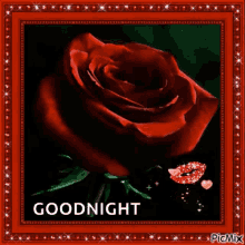 Goodnight Sparkles GIF - Goodnight Sparkles Rose GIFs