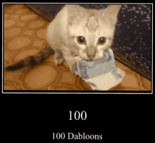 Cat Dabloons GIF - Cat Dabloons 100 GIFs