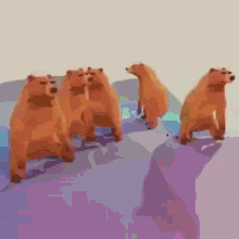 Bears Dank GIF