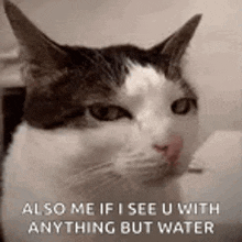 also me if i see u with anything but water .