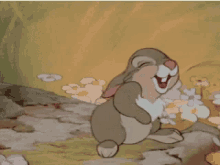 Disney Laugh GIF - Disney Laugh Rabbit GIFs