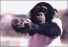 Chimp Gun GIF - Chimp Gun Fire GIFs