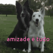 Amizade Dogs GIF