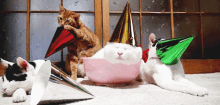 Happy Birthday Birthday GIF - Happy Birthday Birthday Cats GIFs