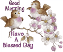 good morning greetings have a blesses day birds flower