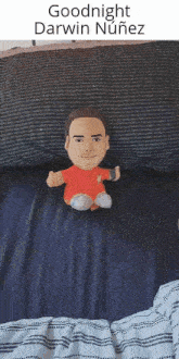 a stuffed doll is laying on a bed with the words `` goodnight darwin nunez '' above it .