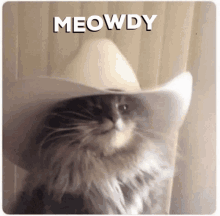 meowdy howdy cat howdy cat in a hat cat in the ten gallon hat