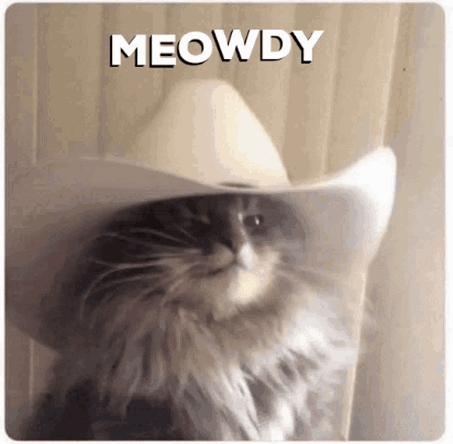 meowdy-howdy-cat.png