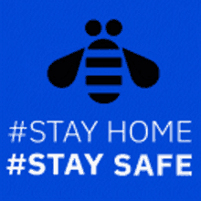 Stay Home Stay Safe GIF - Stay Home Stay Safe Bee GIFs