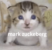 Mark Zuceberg GIF - Mark Zuceberg GIFs