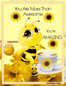 amazing you are awesome the