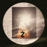 a picture of a cat with the letter z in the corner