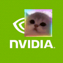 a nvidia logo with a picture of a cat in the middle