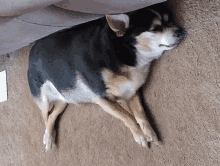 Another Lazy Day GIF - Another Lazy Day GIFs