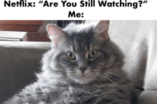 Netlix Are You Still Watching Me Meme GIF - Netlix Are You Still Watching Me Netlix Meme GIFs