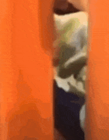 a blurred image of a person standing in a room