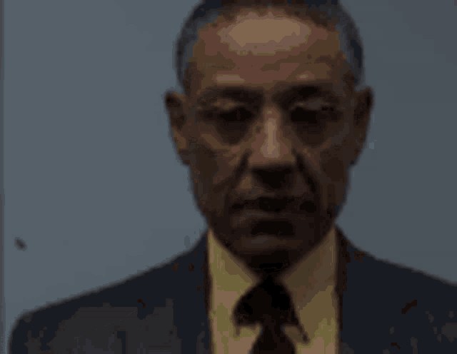 amo-gus-gif-amo-gus-discover-share-gifs