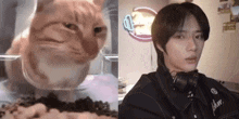 Beomgyu Cat Side Eye GIF