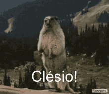 Clesio GIF - Clesio GIFs