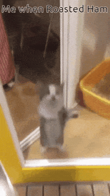 a cat is standing on its hind legs in front of a door with the caption `` me when roasted ham '' .