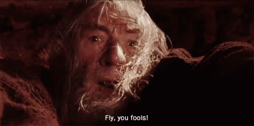 Gandalf Lotr GIF - Gandalf Lotr Fly You Fools GIFs