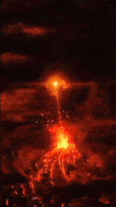 a painting of a colorful bird surrounded by flames