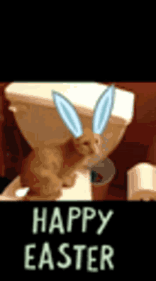 Cat Happy Easter GIF - Cat Happy Easter Bunny GIFs