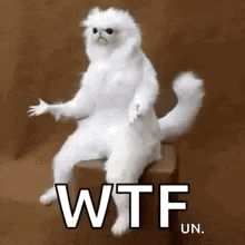 a white cat is sitting on a box with the words `` wtf un '' written on it .