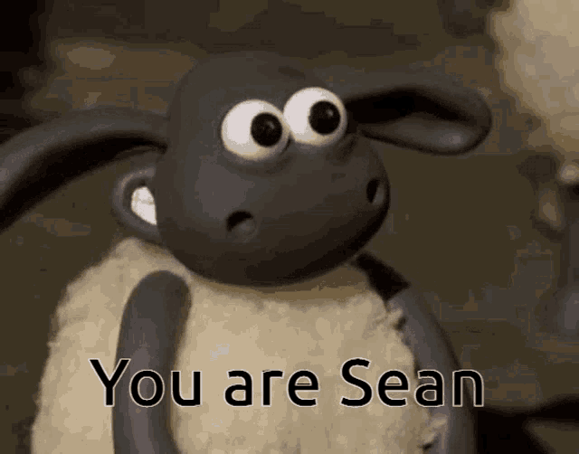 Sean Shawn GIF Sean Shawn Schaf GIF 탐색 및 공유