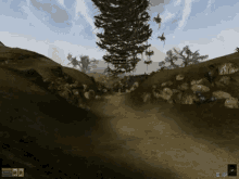 Morrowind Cliff GIF - Morrowind Cliff Racer GIFs