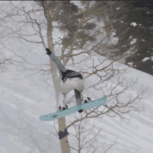 Snowboarding Zoi Sadowski Synnott GIF - Snowboarding Zoi Sadowski Synnott Red Bull GIFs