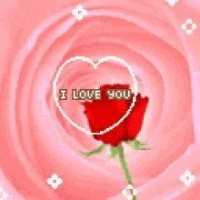 a red rose is surrounded by a pink swirl and says i love you