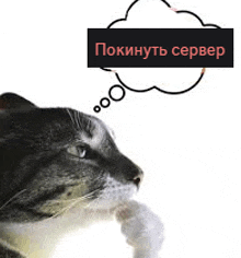 a cat is thinking about a server with a thought bubble in russian