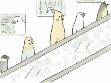 Birds Escalator GIF - Birds Escalator Going Up GIFs