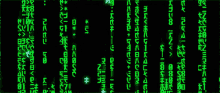 The Matrix Matrix GIF - The Matrix Matrix Coding GIFs