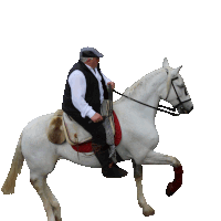 a man riding a white horse with a shadow of another man behind him