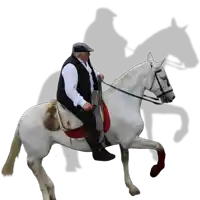a man riding a white horse with a shadow of another man behind him