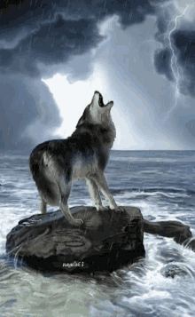 Lobo Wolf GIF - Lobo Wolf GIFs