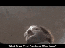 a blurred image of a man with the words what does that dumbass want now