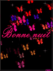 bonne nuit goodnight sweet dreams butterflies