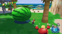 Super Mario Sunshine Watermelon Festival GIF - Super Mario Sunshine Super Mario Watermelon Festival GIFs