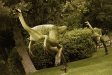 Eccles Dinosaur Park GIF - Eccles Dinosaur Park GIFs