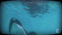 Keiko In His Tank GIF - Whale Orca Whale Fish GIFs